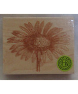 Hero Arts Wood Mounted Rubber Stamp FRESH FROM THE VAULT DAISY Limited E... - £9.56 GBP