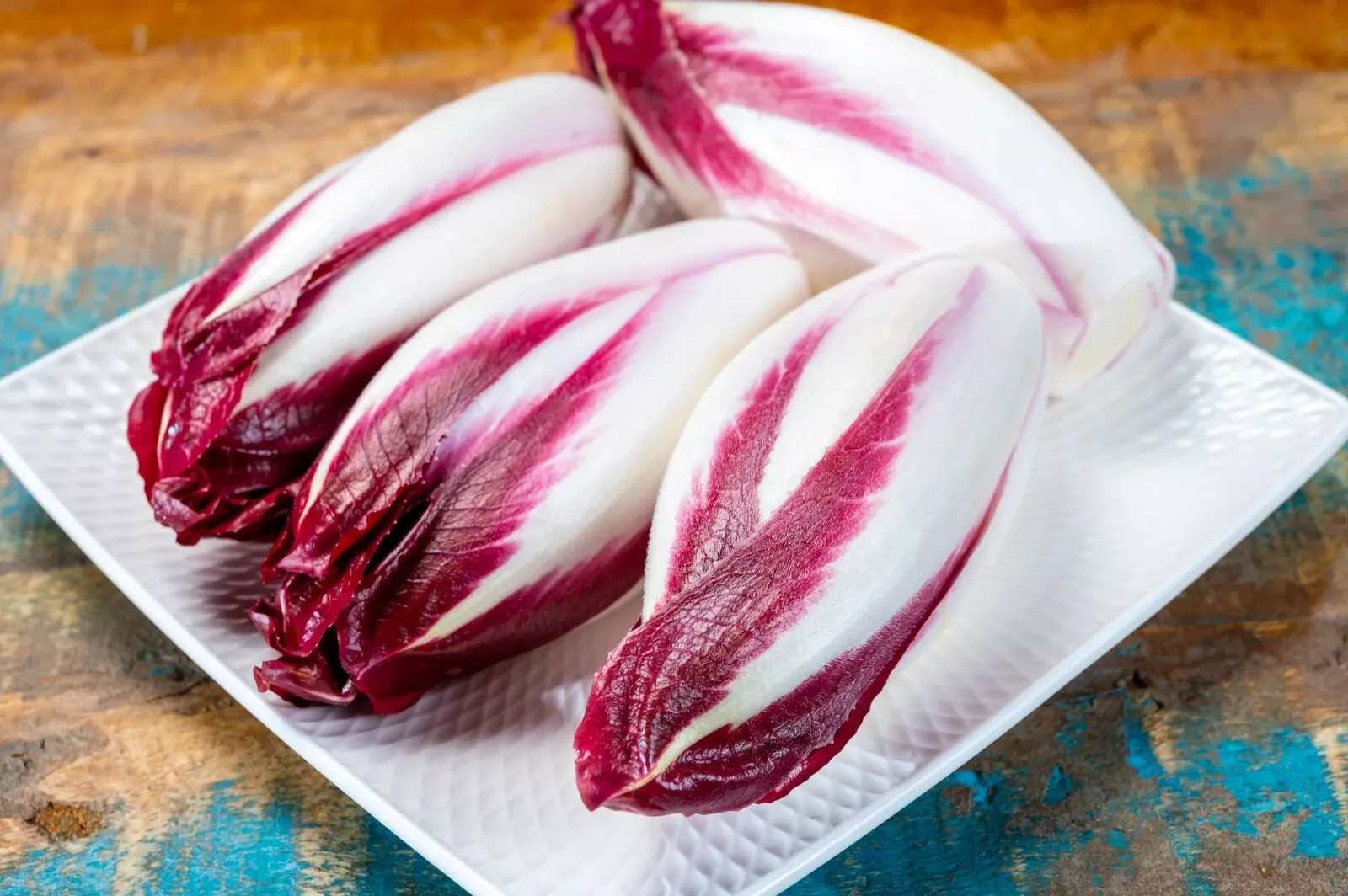 1000 Endive Seeds - Red Treviso Seeds - $7.00