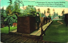 74 Foot Timber Log Forestry Building Washington State University WSU Postcard D9 - £12.58 GBP