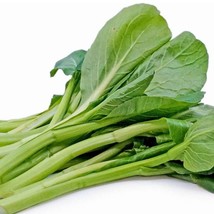 Early Green Yu Choy Sum Seeds Fresh Garden - $10.98