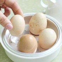 Chicken Egg Cooker For Microwave - £12.96 GBP