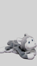 ty BEANIE BABY 'NANNOOK' the Husky gray white 8 in. long (bdrm bskt) - $3.00