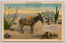 Donkey Fifty Miles From Water Poor Burro On The Desert Postcard R28 - £7.11 GBP