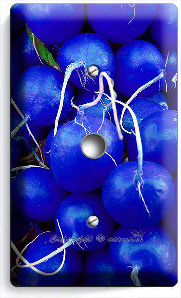 BLUE RADISHES LIGHT DIMMER CABLE PLATE COVER VEGAN VEGETARIAN NEW KITCHEN DECOR