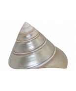 Vintage Mother Of Pearl Spiral Pyramid Sea Shell Decorative Natural Home... - $148.36 MXN