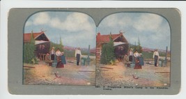 A Prosperous Miner&#39;s Camp in the Klondike Alaska Stereoview Card # 1331  - $8.32