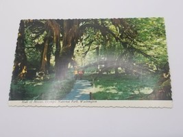 Hall Of Mosses Olympic National Park Washington Vtg Postcard - £4.69 GBP