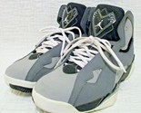 Air Jordan True Flight Basketball Shoes 342964-003 Cool Gray White Black... - $99.00