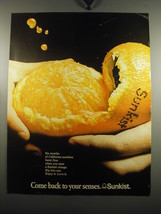 1971 Sunkist Oranges Ad - Come back to your senses. Sunkist - £14.55 GBP