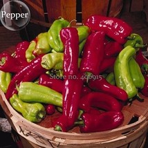 Heirloom &#39;Cubanelle&#39; Pepper Green Red Orange Sweet Pepper, 50 Seeds, org... - £5.51 GBP