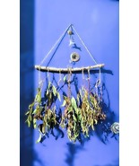 Boho Eucalyptus all natural stylish wall hanging image 1 Boho Eucalyptus... - $65.89 CAD