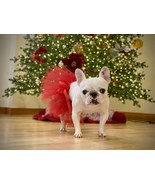 Red Dog Tutu | Size XS-XXXL | Red Dog Skirt | Christmas Dog Tutu | Gift ... - $20.00