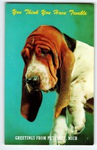 Basset Hound Dog Think You Have Trouble Postcard Greetings From Petoskey Mich - £8.39 GBP
