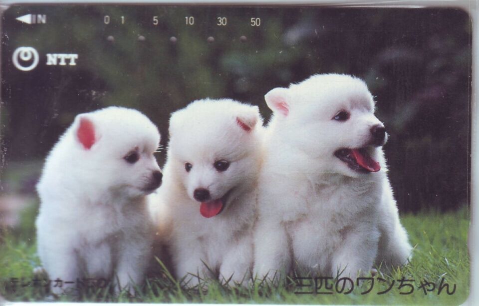 Puppies V7 Japan NTT Phone Card - $20.00