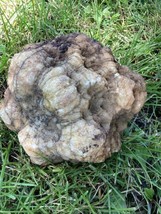 9Lb + Indiana Geode  Crystals , minerals,fossil   Intact Jewelry Lapidary - $101.72