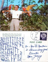 Florida Tampa Busch Gardens Parrots Posted to New Jersey 1964 Vintage Postcard - £7.37 GBP