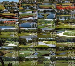 TPC Sawgrass Golf Hole Photo Tournament Player 26&quot;x13&quot; Panorama Print 28... - £31.57 GBP