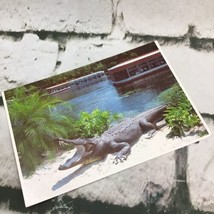 Vintage Postcard Florida Silver Springs Scenic Lake - £5.41 GBP