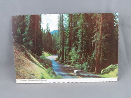 Vintage Postcard - Freeway Through the Redwoods - Continental Card - $15.00