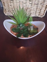 Succulent Plant Dish - $26.61