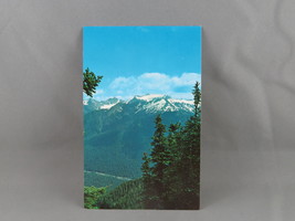 Vintage Postcard - Mt Olympus from the High Divide (WA) - National Park Conce. - £11.75 GBP