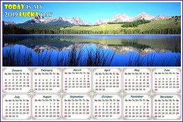 2019 Magnetic Calendar - Calendar Magnets - Today is My Lucky Day - Edit... - $8.54