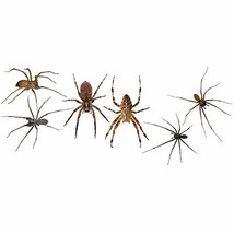 6 House Spider Decals - £12.75 GBP