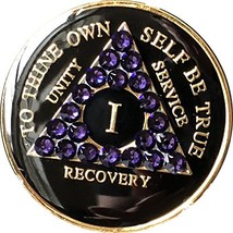 1 Year AA Medallion Black Tri-Plate Purple Velvet Violet Color Swarovski Crystal - £15.50 GBP