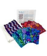 Karen Snyder Pie Chart Got Squared? Twin Size Quilt Top Kit NEW - $56.99