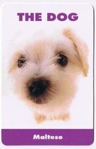 Trade Card Dog Calendar Card 2003 The Dog Maltese - £0.77 GBP
