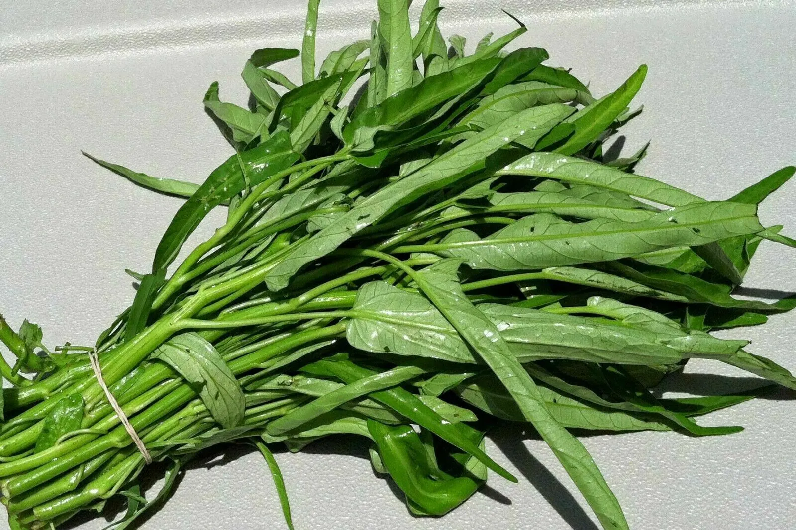 Easy Grow !!!  10g Water Spinach Seeds , Organic Vegetbale  NON-GMO , Go... - $13.02