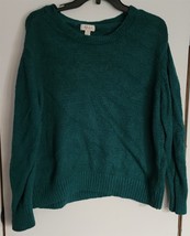 Womens L Style &amp; Co Green Round Neck Long Sleeve Sweater - $18.81