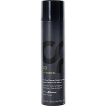 Colorproof By Colorproof Texture Charge Finishing Spray 7.5 Oz - £27.21 GBP