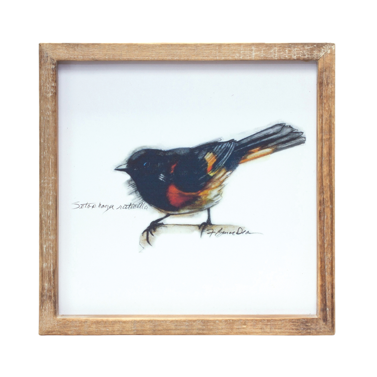 Wood Framed Bird Art Print (Set of 4) Item image 2