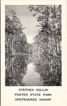 Fargo Georgia Okefenokee Swamp Stephen Foster State Park GA Postcard Y9 - $9.95