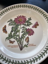 NEW Portmeirion Botanic Garden Flowered Chrysanthemum 10.5” Dinner Plate New - £26.42 GBP