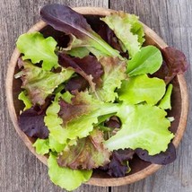 Gourmet Mix Lettuce Greens Seeds Vegetable Planting Spring Mix Spinach Arugula S - £6.41 GBP