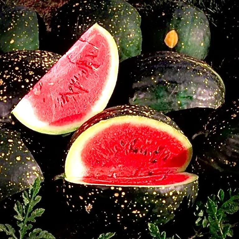 20 Moon and Stars Red Cherokee watermelon - £7.07 GBP