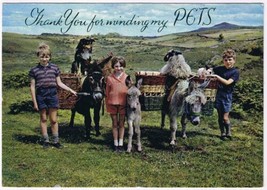 Postcard Irish Children Donkeys Carts Thank You For Minding My Pets - $3.43