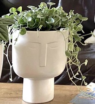 Face Planters For Indoor Plants - Tall 7 Inch Matte White Ceramic Self Watering - £31.59 GBP