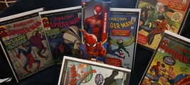 2006 AMAZING SPIDER-MAN COLLECTOR SERIES 12-17W/12&quot; SPIDER-MAN TITAN FIG... - $31.99