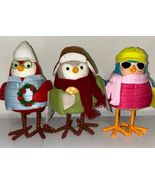 2024 Target Wondershop Featherly Friend 3 Bird Set Merry Conifer Acorn NWT - €20,93 EUR