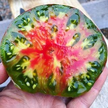 AD 50 Seeds Ananas Noire Tomato Heirloom Vegetable Tomatoe Edible Home G... - $13.26