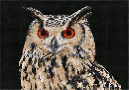 Pepita Needlepoint Canvas: Owl Head, 10&quot; x 7&quot; - $50.00+