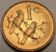 South Africa 1966 Cent Gem Unc~Sparrows~Suid Africa~Free Shipping - £3.50 GBP