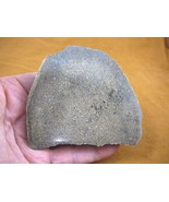 (DF-378-7) 8 oz Fossil REAL DINOSAUR Bone cabbing slab lapidary I love d... - $64.75 CAD