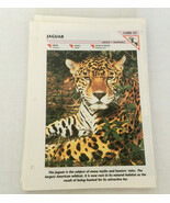 Wild life fact cards mixed lot  inserts  for binder animal knowledge hom... - $27.07 CAD
