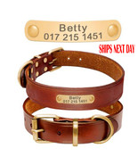 Custom Personalized Premium Leather Dog collar - Gold nameplate id Tag - £17.29 GBP