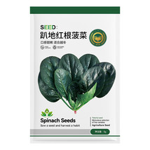  Prostrate Red Rooted Spinach Seeds - £7.83 GBP