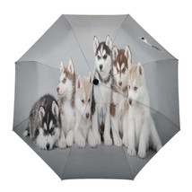Pet Dogs Creative Umbrella Rain Automatic Three Folding Umbrellas Windproof Para - £66.49 GBP
